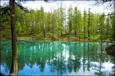 À quel chanteur français doit-on "Le lac" en 2016 ?