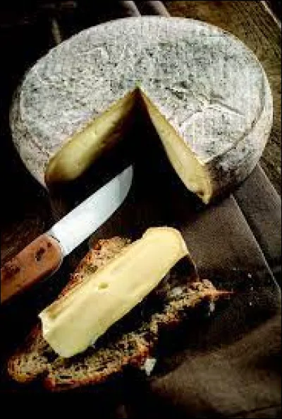 Quel est le nom de ce fromage fabriqué en Auvergne ?