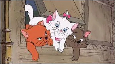 Dans quel film d'animation Disney peut-on voir ces trois adorables chatons ?