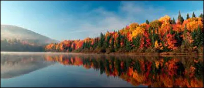 Quelle est ta saison préférée ?