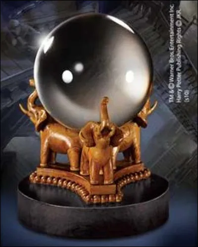 Qui parle à Harry dans la boule de cristal ?