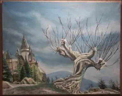 Où arrivent-ils après avoir passé le saule cogneur ?