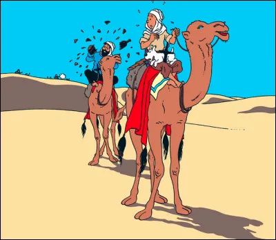 Quel est le titre de cet album de Tintin ?