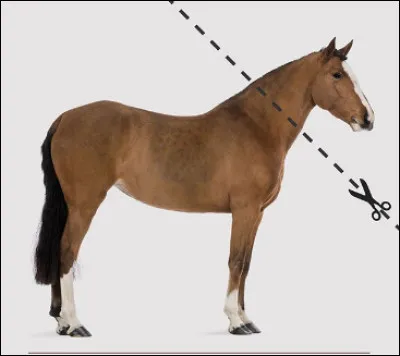 Parodie d'une célèbre scène, saurez-vous retrouver le nom de ce film culte de 1972 ?