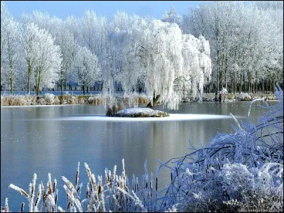 À qui appartient la chanson "Et j'ai toujours le cur en été, comme si l'hiver était de trop, moi j'ai toujours le sang chaud" ?
