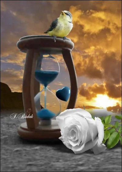 Qui interprétait les paroles "un oiseau errant qui fuit devant l'hiver, au retour de l'automne, feras-tu comme l'oiseau qui s'envole et s'étonne", en se questionnant "Restera-t-il encore un peu de notre amour, au premier vent du nord, aux premiers mauvais jours ?" ?