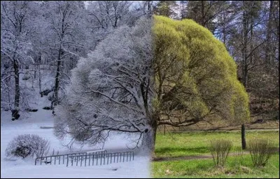 Qui interprétait les paroles "Comment peut-il encore lui plaire, elle au printemps, lui en hiver" ?