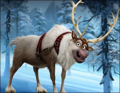 Quel est le nom du renne dans le film d'animation "La Reine des neiges" ?