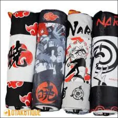 Après le combat, tu prends le parchemin de l'ennemi. Tu n'as le droit qu'à une technique. Laquelle choisis-tu ?