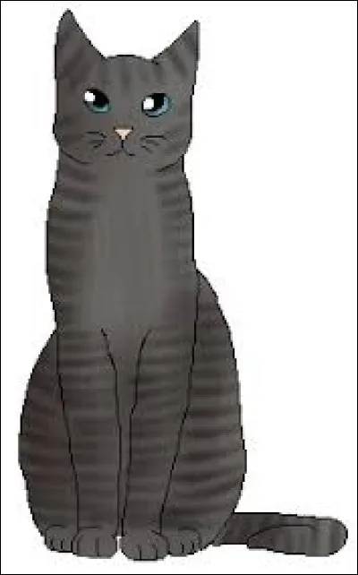 Contre qui Rusty se bat-il lors de son arrivée dans le Clan du Tonnerre ?