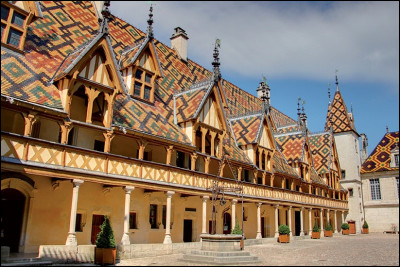 Dans quelle région vous trouvez-vous si vous apercevez les Hospices de Beaune ?