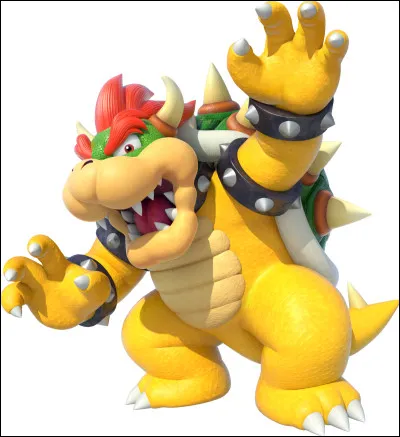 Son ennemi est Bowser :