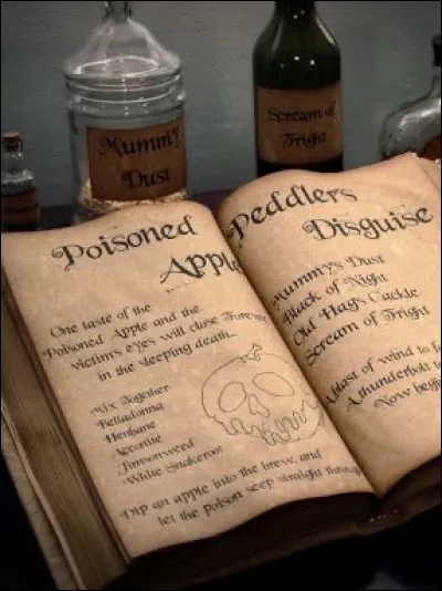 À qui appartient cet aesthetic ?