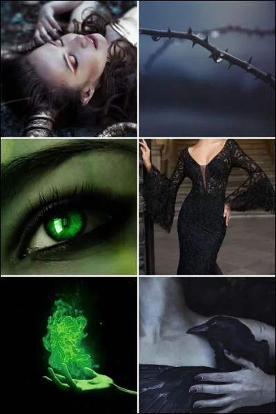 À qui appartient cet aesthetic ?