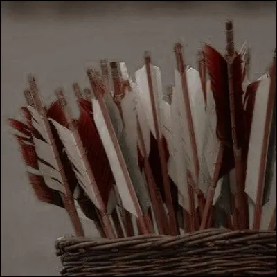 À qui appartient cet aesthetic ?