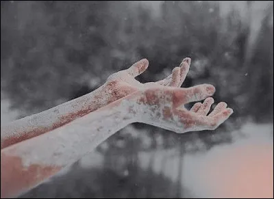 À qui appartient cet aesthetic ?