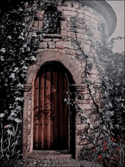 À qui appartient cet aesthetic ?