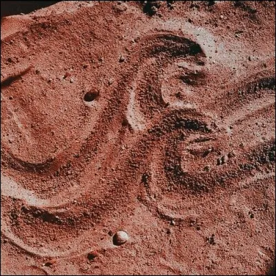 À qui appartient cet aesthetic ?