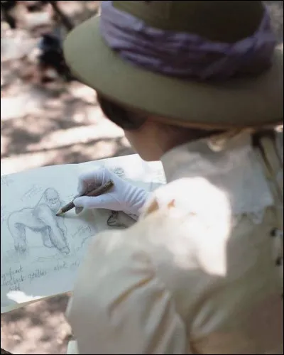 À qui appartient cet aesthetic ?