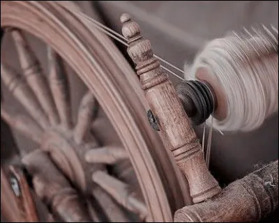 À qui appartient cet aesthetic ?