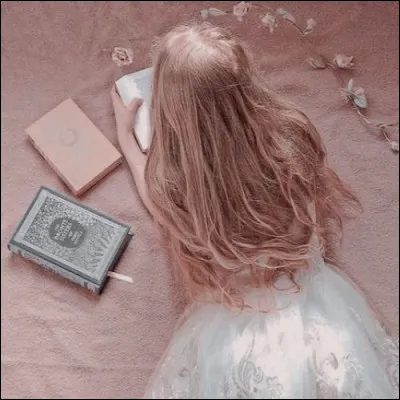 À qui appartient cet aesthetic ?