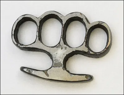 Pourquoi est connu John Népomucène Neumann ?