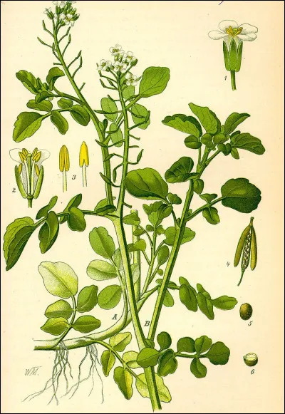 Le pont culminant du département des Hauts-de-Seine est à 180 m, à...