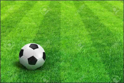 Henri-Claude Ferblantier : un nom qui refroidit la France du foot en 1993. 14 mois de suspension (peine ramenée à 6 mois en appel) pour ce joueur de Martigues, alors en D2. Pour quelles raisons ?