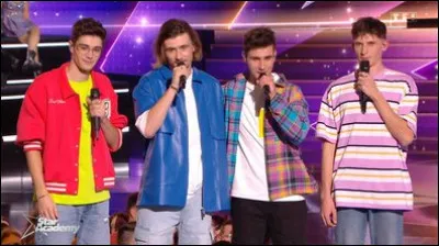 Julien, Pierre, Victorien et Axel ont-ils chanté "Partir un jour" ?