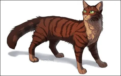 Comment s'appelle son frère ?