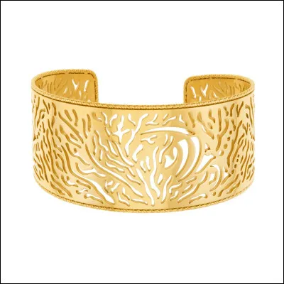 De quelle couleur est ce bracelet ?