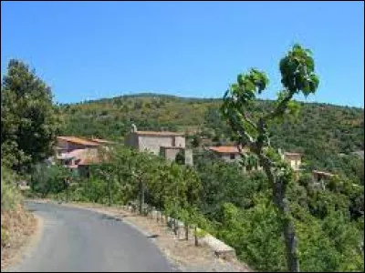Petit village de 63 habitants, dans l'arrondissement de Prades, Feilluns se situe dans le département ...