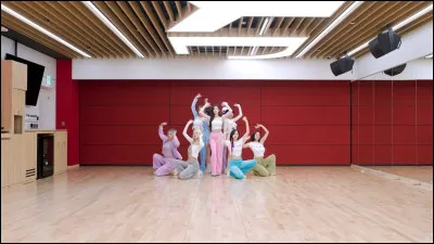 Si tu étais dans un groupe de K-pop, qui serais-tu ?