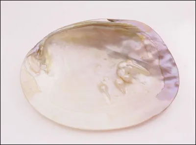 Quel est le genre du nom nacre, matière calcaire blanche sécrétée par certains mollusques ?