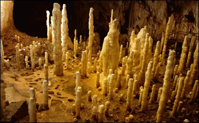 Quel est le genre du nom stalagmite, concrétion calcaire qui se forme sur le sol d'une grotte ?