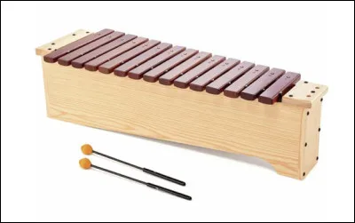 Quel est le genre du nom xylophone, instrument de musique à percussion ?