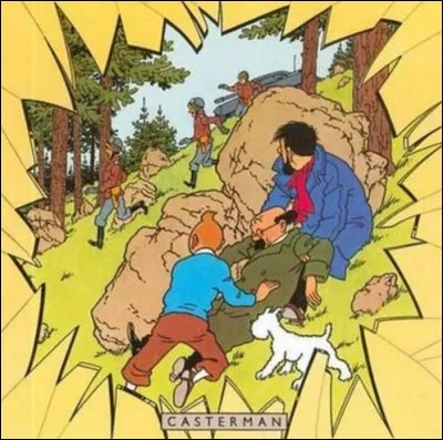 Comment s'appelle cet album de Tintin ?
