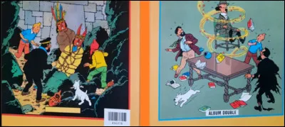 Quels sont les titres de ce diptyque d'albums des "Aventures de Tintin" ?