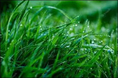 Quelle lettre faut-il remplacer pour obtenir une moquerie ?