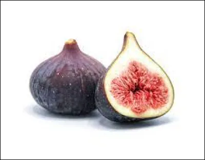 Quelle lettre faut-il remplacer pour obtenir un ouvrage qui protège ?