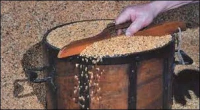 Quelle lettre faut-il ajouter à cette ancienne mesure à grains pour obtenir un petit chemin forestier ?