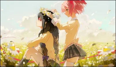 Que pensez-vous des romances ?