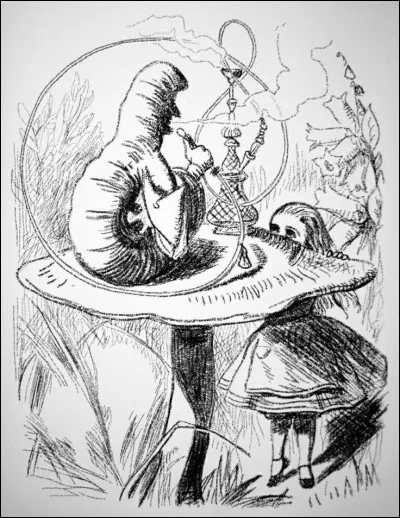 Apr&egrave;s plusieurs p&eacute;rip&eacute;ties ta taille ne cessa de grandir et de r&eacute;tr&eacute;cir et tu te retrouva face &agrave; une chenille qui fumait tranquillement sur son champignon,mais face &agrave; un changement soudain comment r&eacute;agirait tu ?