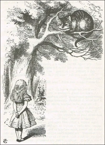 En continuant ton chemin, tu sembles perdu, quand tout &agrave; coup le chat de la demeure pr&eacute;c&eacute;dente se pr&eacute;sente &agrave; nous, affirmant que vous &ecirc;tes fou/folle Es-tu fou/lle ?