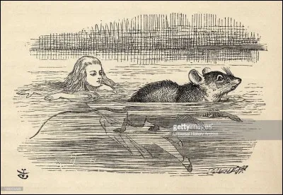 ( Se basant sur la r&eacute;ponse 4)A cause de tes larmes que tu as verser tu te retrouve dans ta marre de larme et avec toi une souris est &eacute;galement pris dans le fleuve que fait tu ?