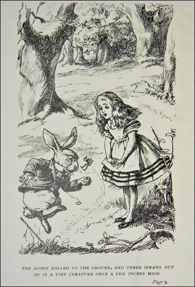 Apr&egrave;s que tout le monde est gagner et que tout le monde est re&ccedil;u un prix, ils s�en vont , te retrouvant d&eacute;sormais seul/e que fait tu ?