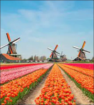 Admirez ce beau paysage qui guidera vers le bon président !