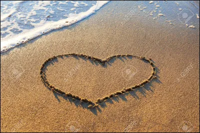 Qu'est-ce que la plage ?