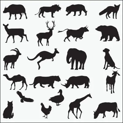 Quel animal pr&eacute;f&egrave;res-tu ?