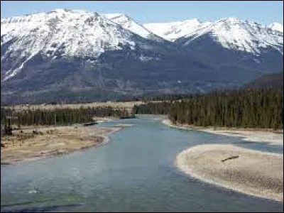 Cette rivière, longue de 1 538 km, prend sa source au glacier Columbia, dans le parc national Jasper en Alberta, suit un parcours torrentueux puis coule vers le nord est à travers la Prairie. C'est la/l'...